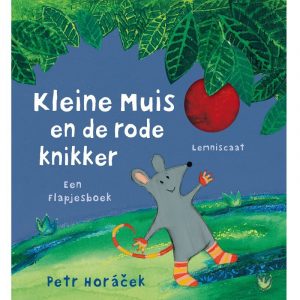 Kleine muis en de rode knikker